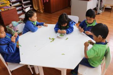 Proyectos de Cocina